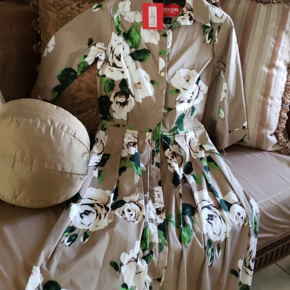 Beautiful Samantha Sung dress